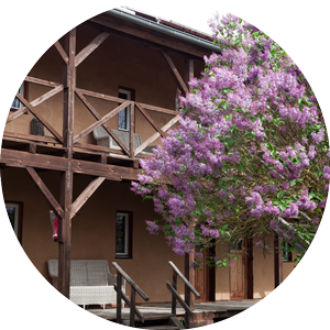 Scale for Good Retreat Team- und Organisationsentwicklung wo und wann?